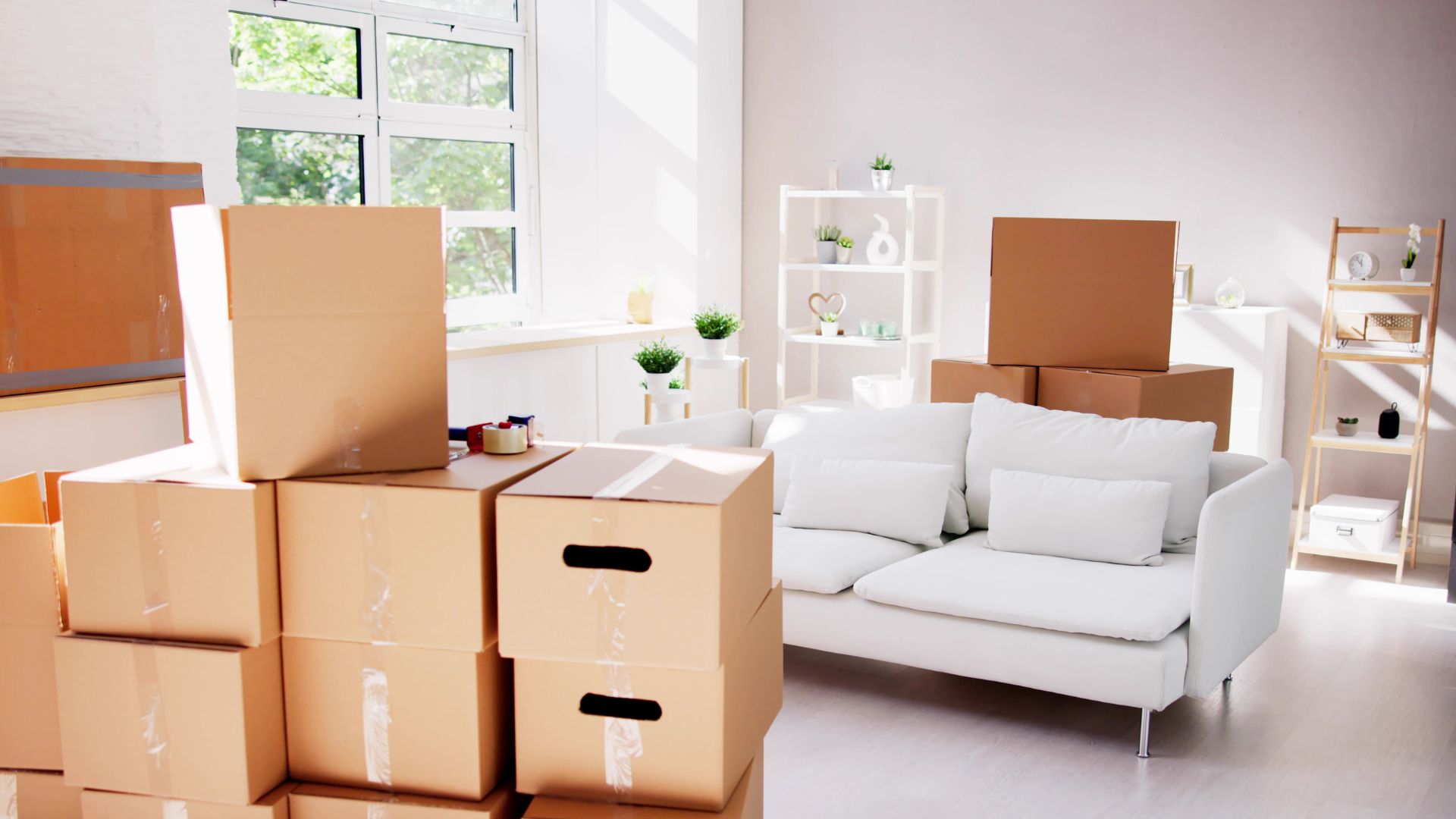 A living room filled with lots of boxes